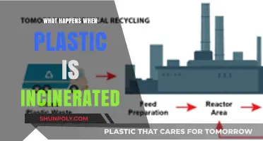 Incineration: Plastic's Toxic Transformation and Environmental Impact