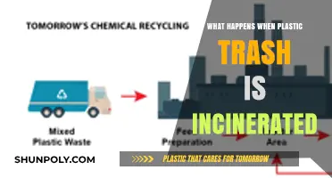 Incinerating Plastic Trash: What Are the Consequences?