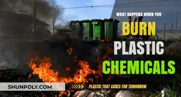 The Dark Side of Burning Plastics: Toxic Chemical Release