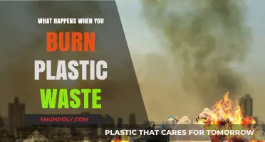 The Dark Side of Burning Plastic Waste