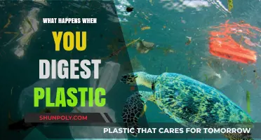 The Dark Side of Plastic Digestion