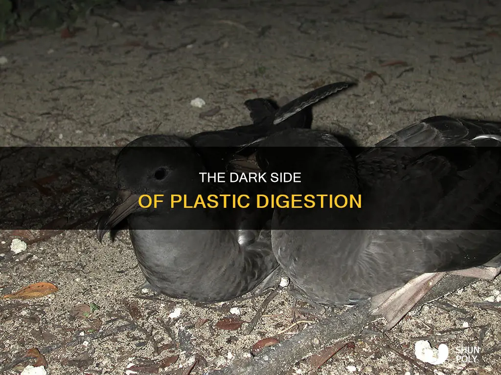 what happens when you digest plastic