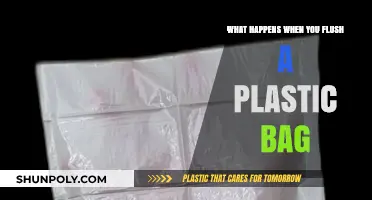 Flushing Plastic Bags: Environmental Impact and Plumbing Disasters Explained