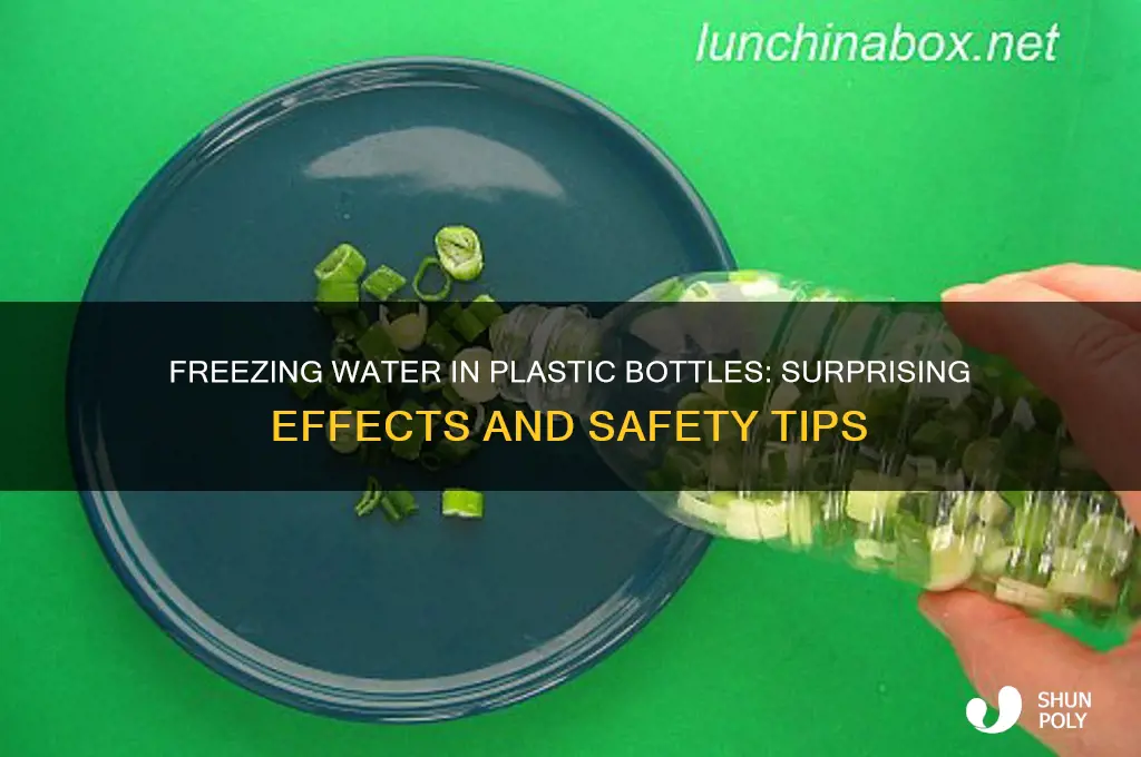 what happens when you freeze water in a plastic bottle