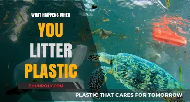 Plastic Pollution: The Devastating Impact of Littering