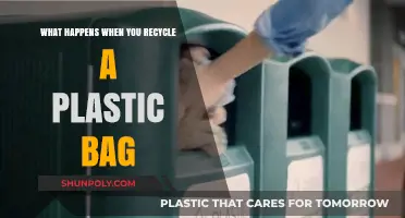 Recycling Plastic Bags: Unveiling the Journey from Waste to Resource
