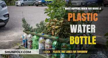 Reusing Plastic Water Bottles: Health Risks and Environmental Consequences Explained