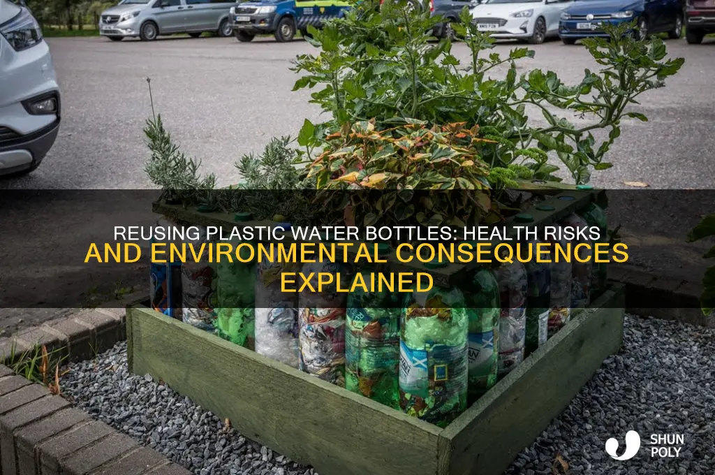 what happens when you reuse a plastic water bottle