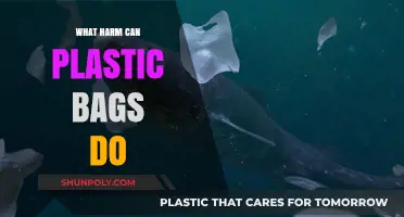 The Hidden Dangers of Plastic Bags: Environmental and Health Impacts