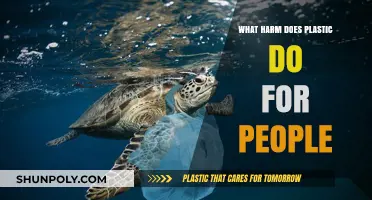 Plastic's Harmful Impact on Human Health and Wellbeing