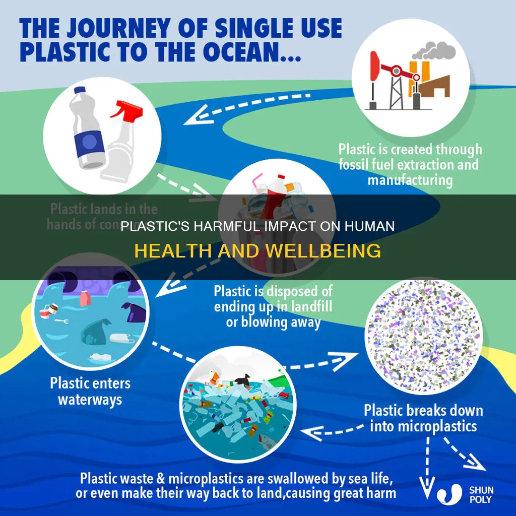 what harm does plastic do for people