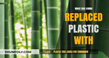 China's Plastic Alternatives: Sustainable Solutions for the Future