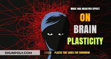 Brain Plasticity: Avoiding Negative Impacts