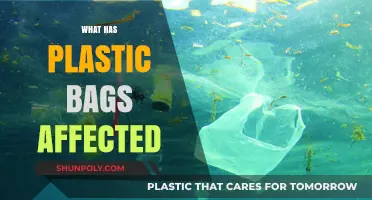 Plastic Bags' Devastating Impact on Environment, Wildlife, and Human Health