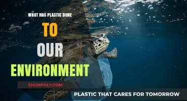 Plastic Pollution: Harming Our Planet, Hurting Our Future