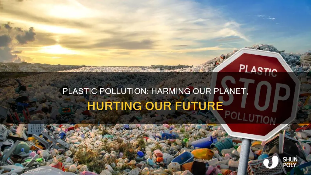 what has plastic done to our environment