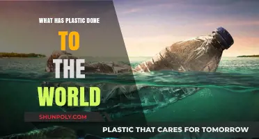 Plastic's Global Impact: A World of Woes