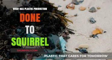 Plastic Production: Killing Squirrels Slowly