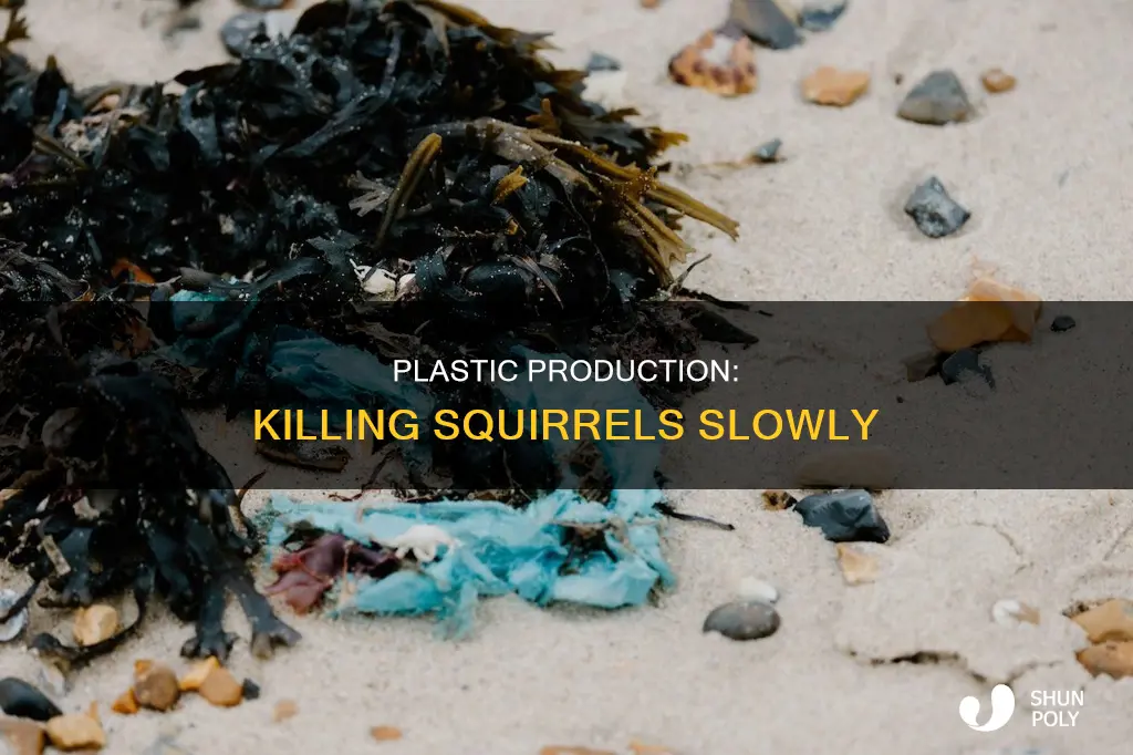 what has plastic production done to squirrel