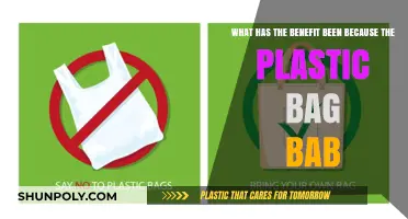 Plastic Bag Bans: Unveiling the Environmental and Economic Benefits