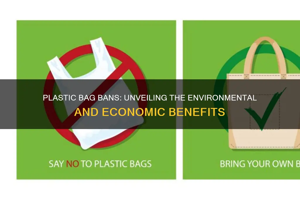 what has the benefit been because the plastic bag bab