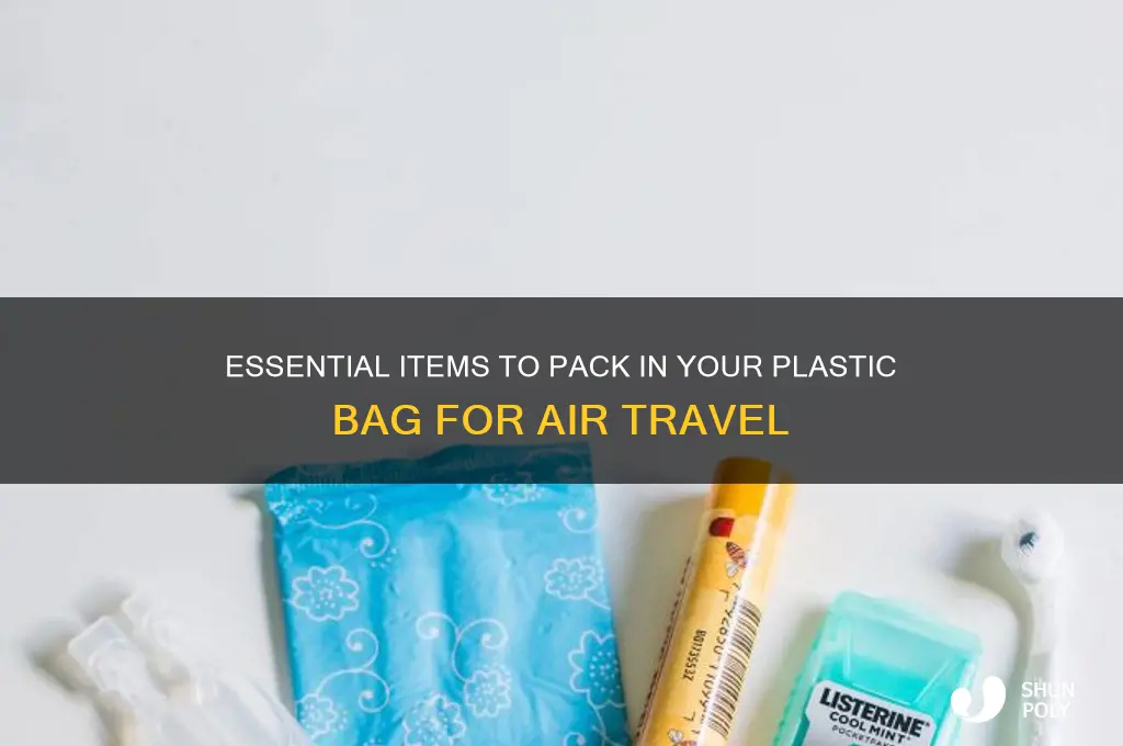 what has to be in plastic bag when flying