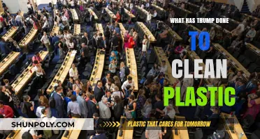 Trump's Environmental Policies: Impact on Plastic Pollution and Cleanup Efforts