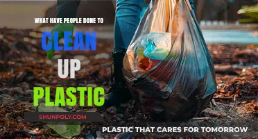Innovative Solutions: How Communities Tackle Plastic Pollution Worldwide