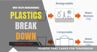 How Nature Breaks Down Biodegradable Plastics