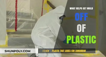 Effective Ways to Remove Mold from Plastic Surfaces Easily