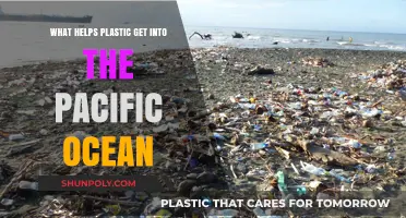 How Everyday Actions Contribute to Pacific Ocean Plastic Pollution