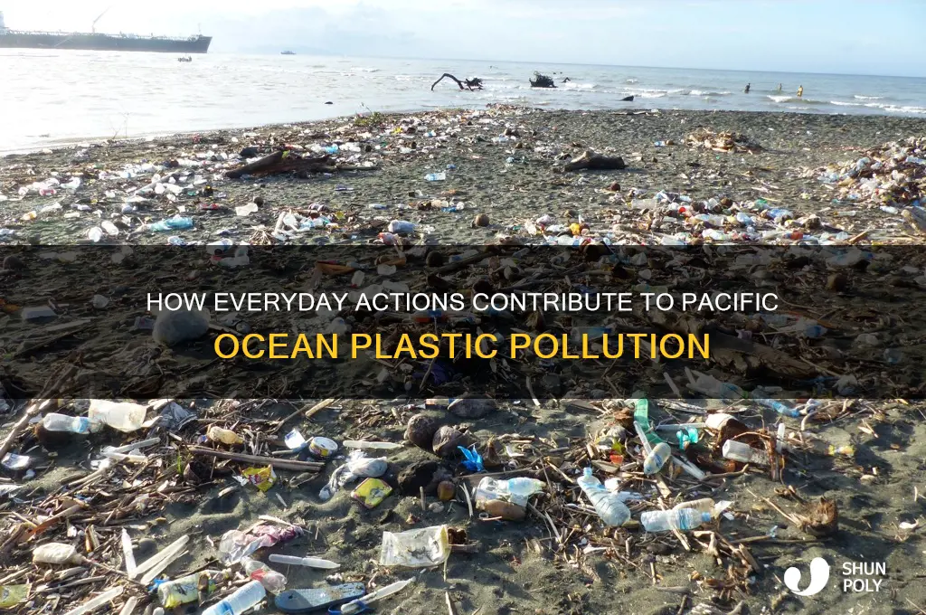 what helps plastic get into the pacific ocean