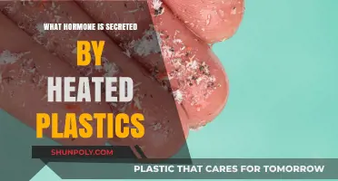 The Dark Side of Plastics: Hormone-Disrupting Chemicals