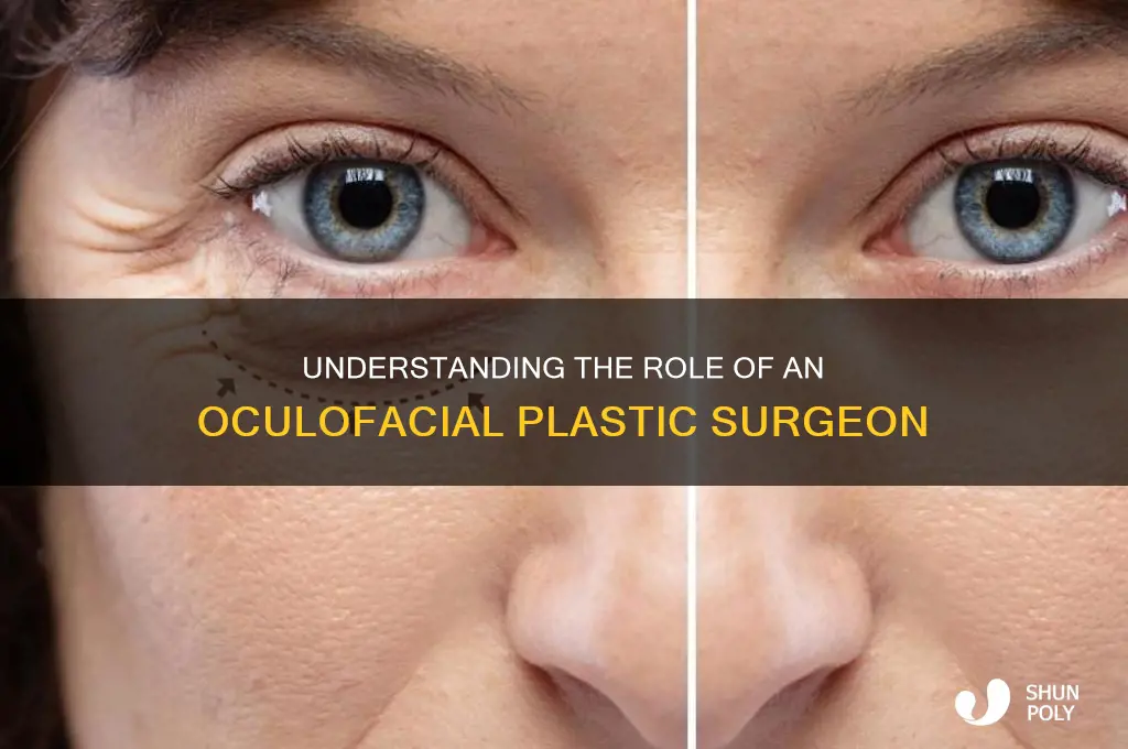 what ia an oculofacil plastic surgeon