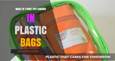 Skipping Plastic Bags for Liquids: Smart Travel Hacks and TSA Rules