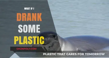 Plastic Ingestion: What Are the Health Risks?