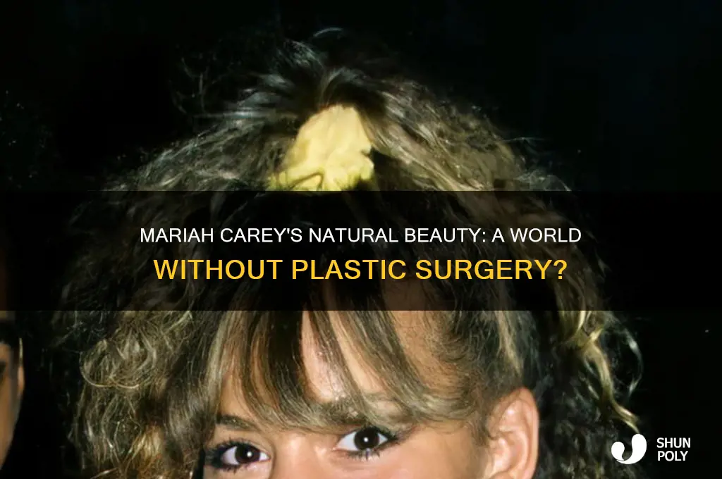 what if mariah carey didn