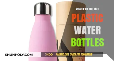 A World Without Plastic Bottles: Imagining a Sustainable Hydration Revolution