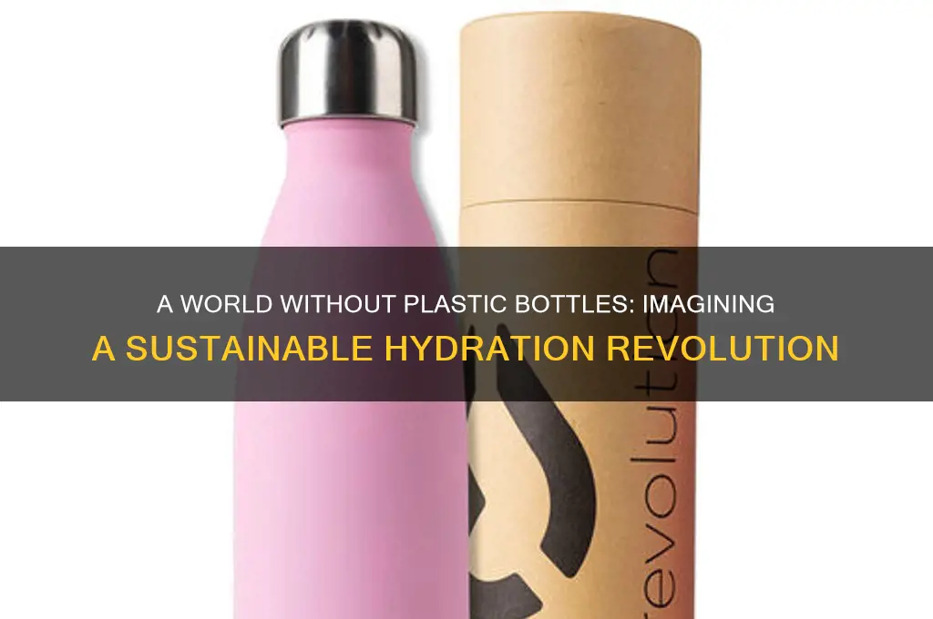 what if no one used plastic water bottles