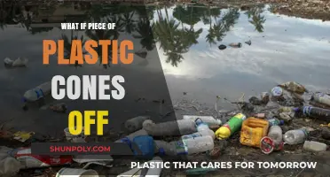 Plastic Calamity: When a Small Piece Falls Off
