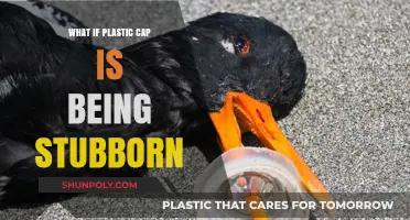 Stubborn Plastic Caps: Quick and Easy Fixes