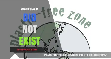 A World Without Plastic: How Different Would It Be?