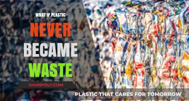 Plastic's Promise: A World Without Waste