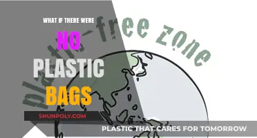 A World Without Plastic Bags: Imagining a Greener, Cleaner Future