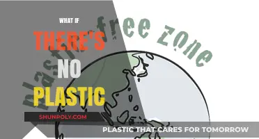 Life Without Plastic: A Greener, Healthier Future