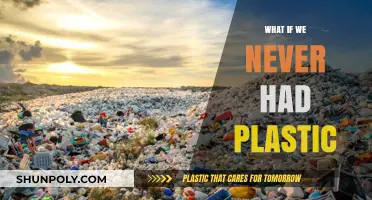 Life Without Plastic: An Alternative Reality