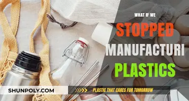 A World Without Plastics: Impact and Alternatives