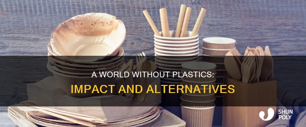 what if we stopped manufacturing plastics
