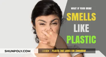 Urine Smells Like Plastic: What Could Be Wrong?