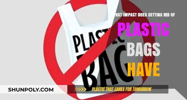 Eliminating Plastic Bags: Environmental Benefits and Societal Shifts Explored